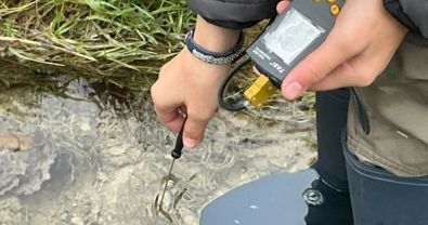 Auf der Suche nach Larven, Egeln und Flohkrebsen