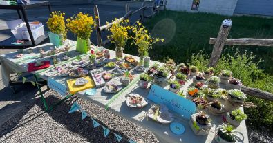 Reissender Absatz am Auholz-Frühlingsmarkt