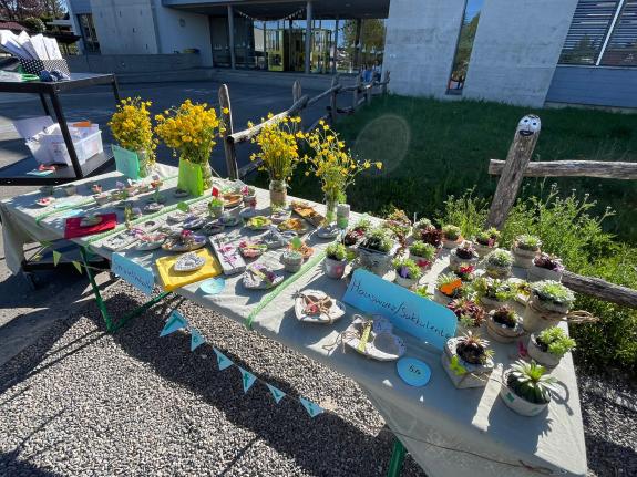 Reissender Absatz am Auholz-Frühlingsmarkt
